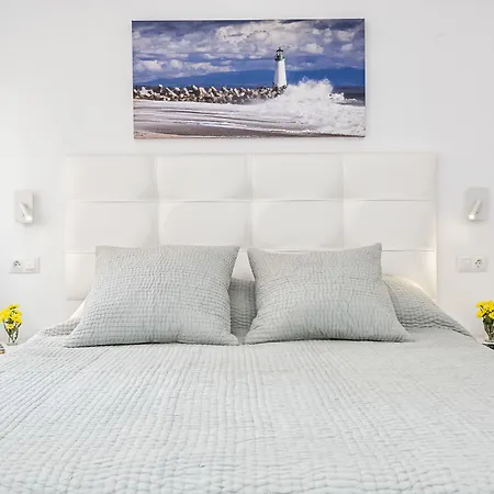 Malagueta Apartment